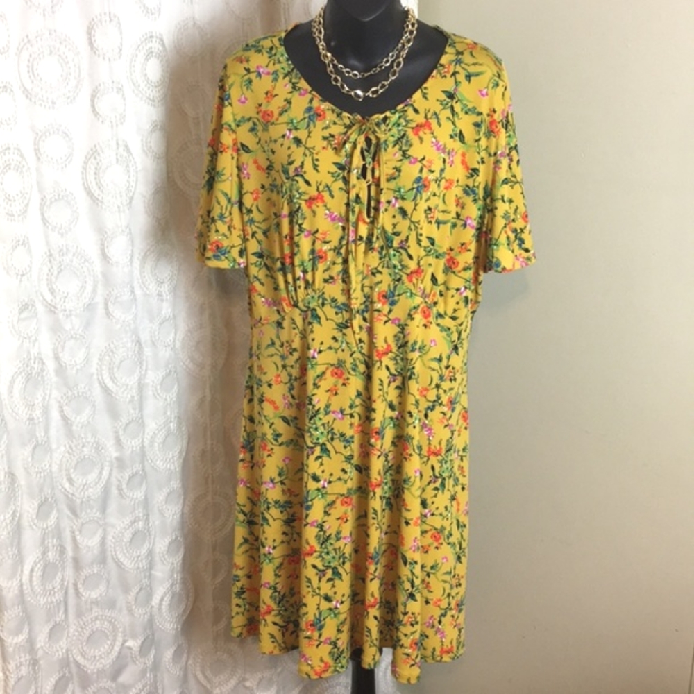 Capsule Dress Sz 1X